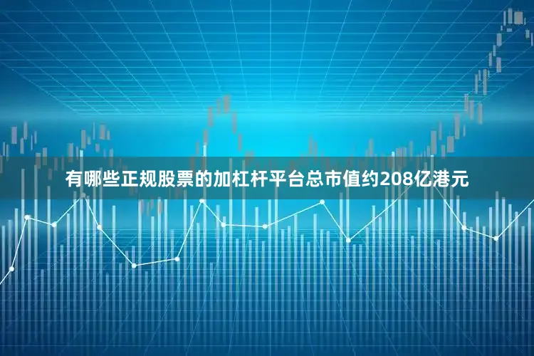 有哪些正规股票的加杠杆平台总市值约208亿港元