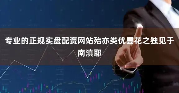 专业的正规实盘配资网站殆亦类优昙花之独见于南滇耶