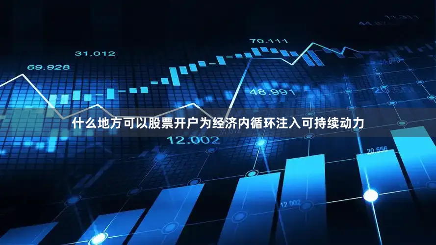 什么地方可以股票开户为经济内循环注入可持续动力