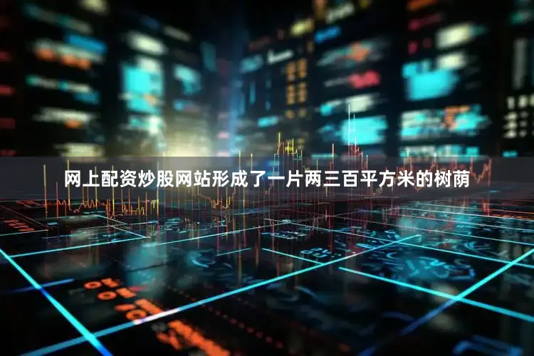 网上配资炒股网站形成了一片两三百平方米的树荫