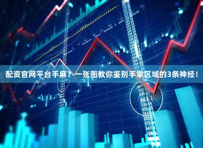 配资官网平台手麻？一张图教你鉴别手掌区域的3条神经！
